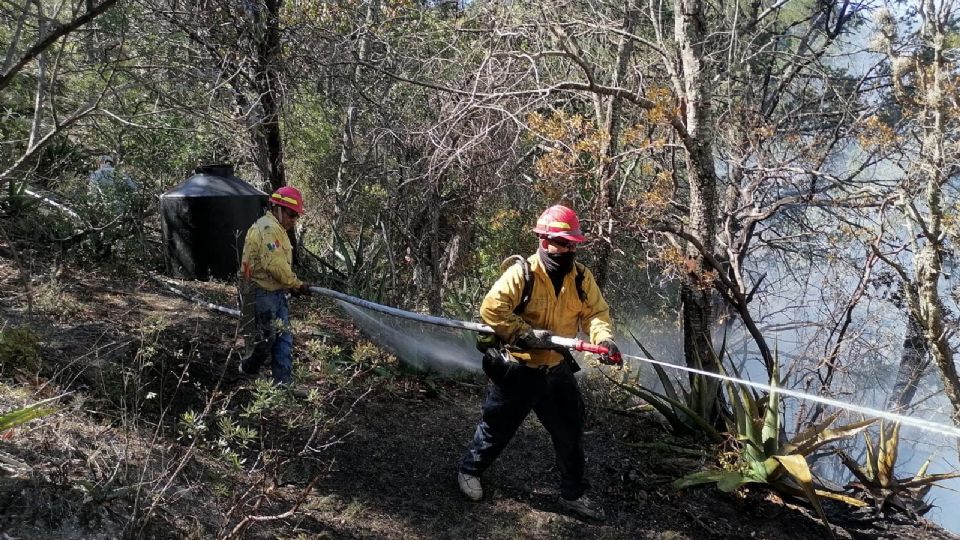 Sofocan 2 incendios forestales en Tamaulipas