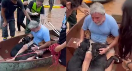 Sin importarle el peligro, hombre rescata a sus 4 perritos de las inundaciones en Brasil