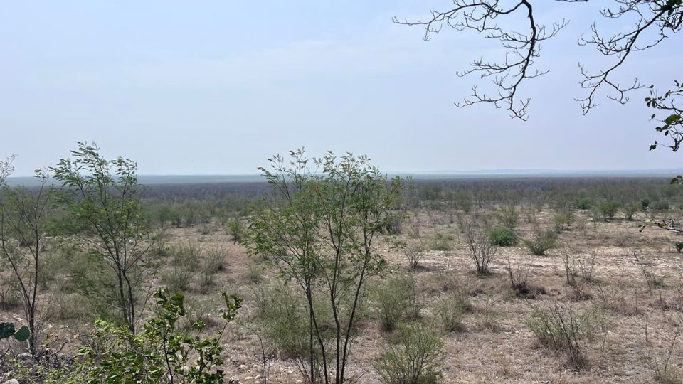 Sequía afecta presa Vicente Guerrero | Facebook / Meteorología Tamaulipas