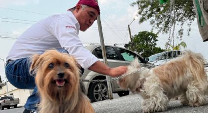 Candidato de Morena propone que mascotas de San Nicolás tengan apellidos