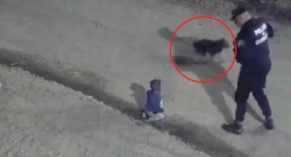 VIDEO: Captan a bebé gateando en la calle y siendo cuidado por un perrito, en Argentina