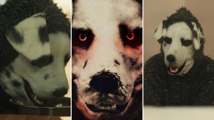 Good Boy, la perturbadora película noruega, llegará a México: ¿De qué trata?