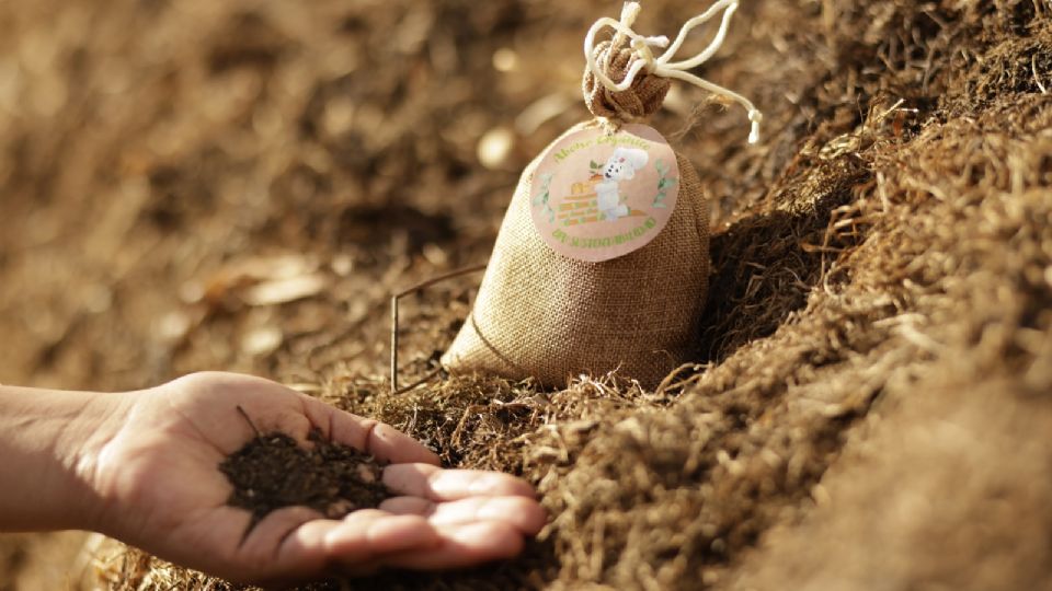 Bajo su eje de acción Cero Desperdicios, la panificadora elabora empaques sustentables.