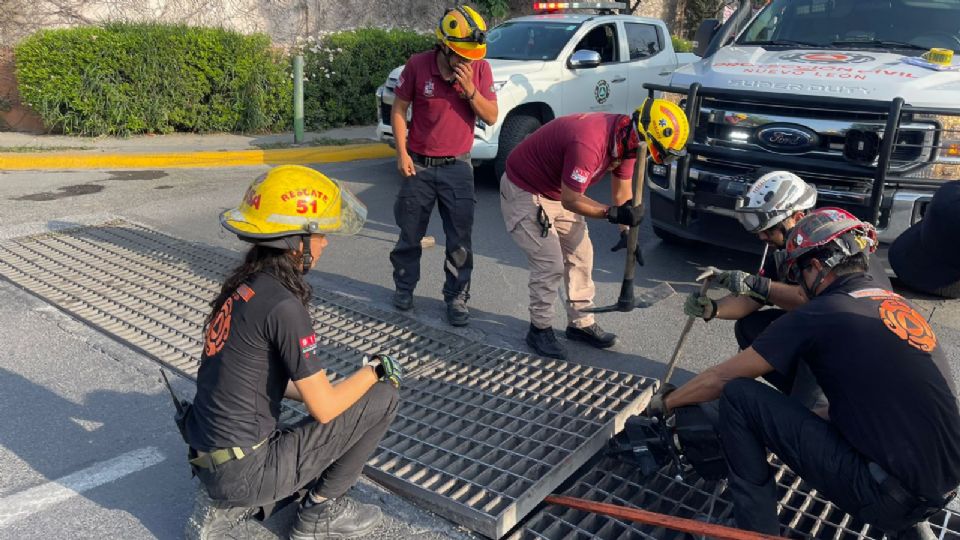 Elementos de Protección Civil en labores de rescate.