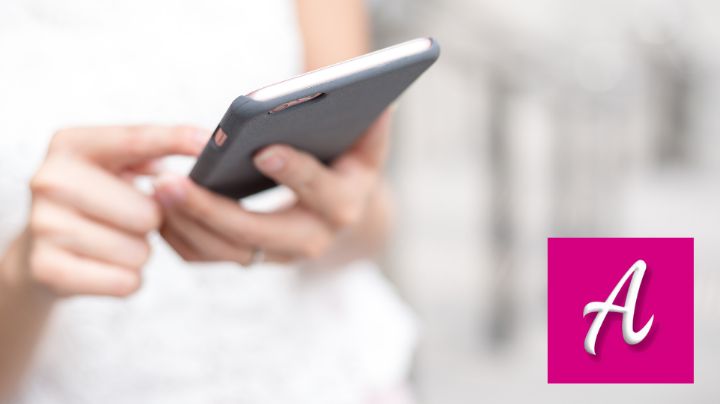 Apprende INE: Así es la aplicación móvil que te enseña sobre el sistema electoral