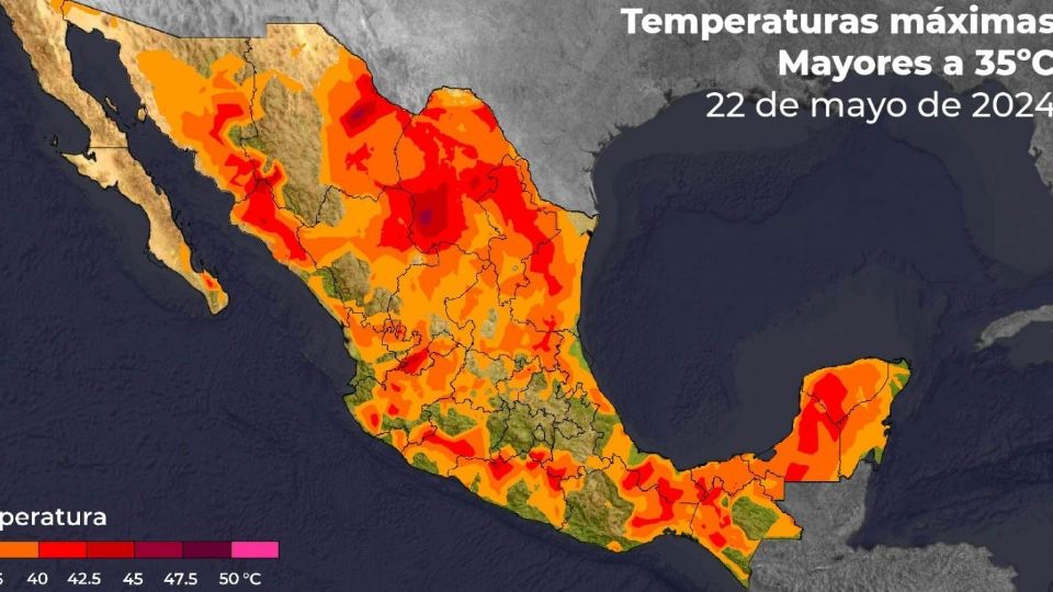 Altas temperaturas en NL