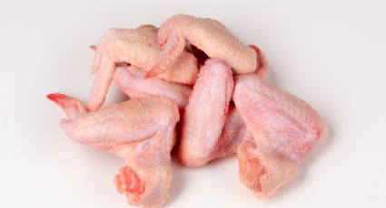 ¿Qué es la salmonella y cuáles son sus síntomas?