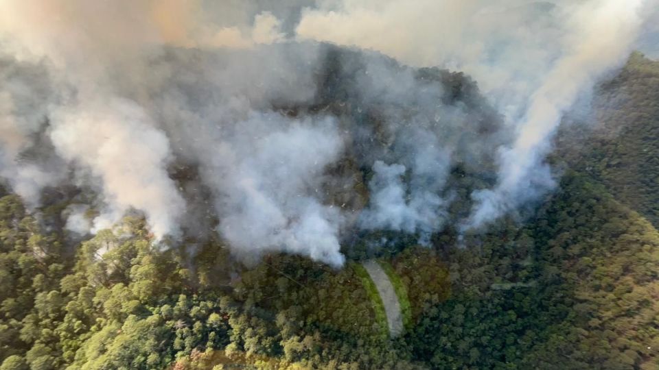 Incendio forestal en Los Cuartones, en el municipio de Santiago. 