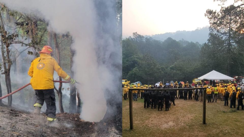 Sofocan 70% de incendio forestal en la Sierra de Santiago.