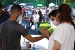 Elecciones 2024: ¿Qué cargos se elegirán en Nuevo León este año?