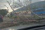 Lluvia deja a Escobedo con árboles caídos, inundaciones y colonias sin luz