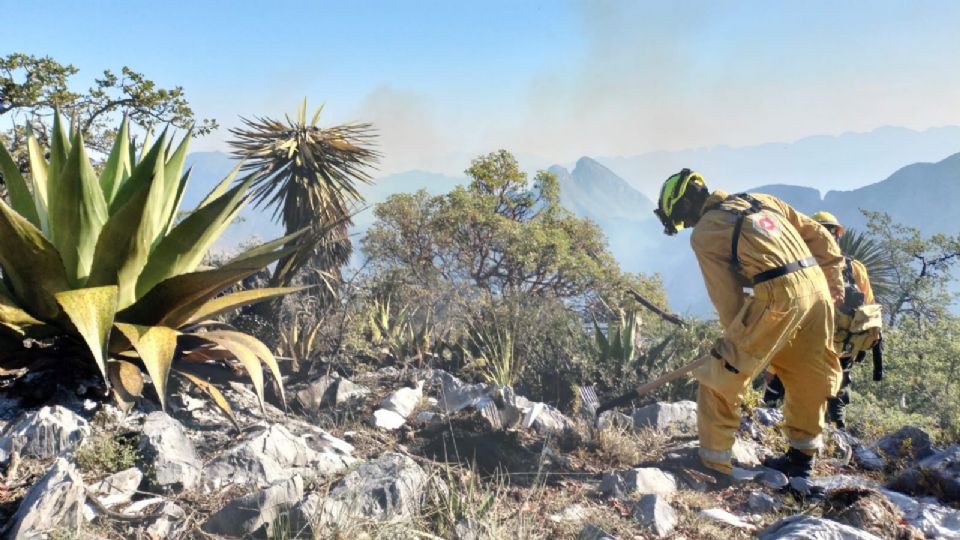 Elemento de Protección Civil de Nuevo León apagando incendio forestal.