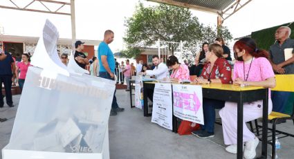 ¿Cuáles son los derechos de las personas con discapacidad y ciudadanos trans al emitir su voto?