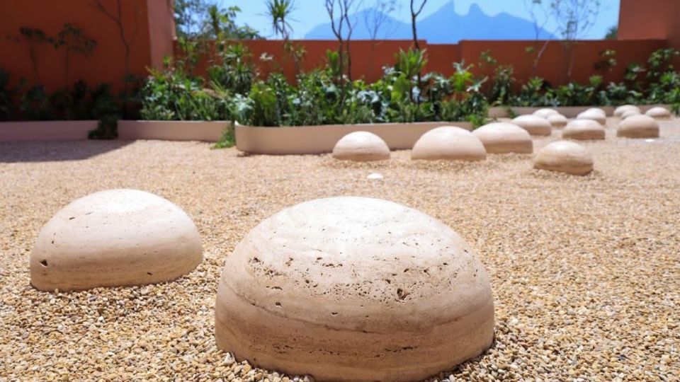 Seedscape (2024), es la única obra de la exposición Enceinte.