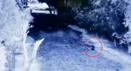 ¿Un duende? Captan misteriosa figura en finca de Monterrey