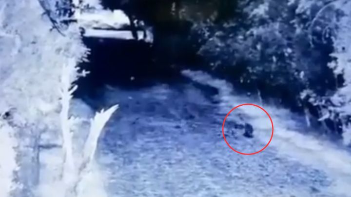 ¿Un duende? Captan misteriosa figura en finca de Monterrey
