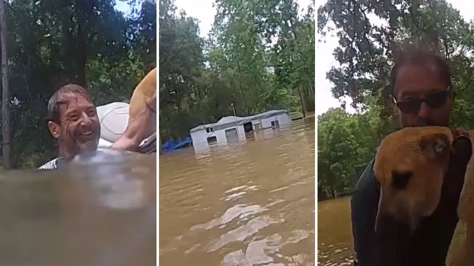 Rescatan a hombre y perros atrapados en inundación en Houston