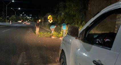 Fuertes lluvias dejan afectaciones y deslaves en la Sierra de Santiago