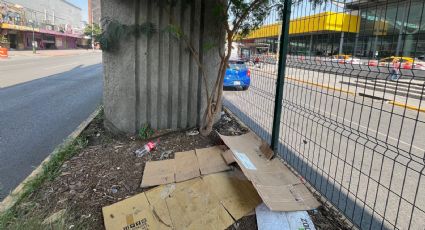 Descuidan camellón bajo la Línea 1 del Metro tras 9 meses de inaugurarlo