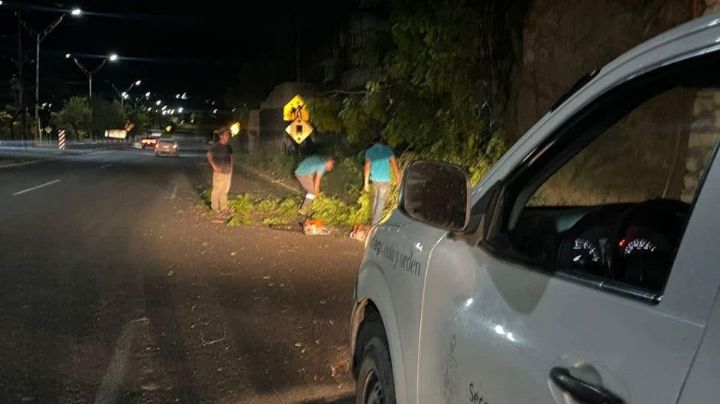 Fuertes lluvias dejan afectaciones y deslaves en la Sierra de Santiago