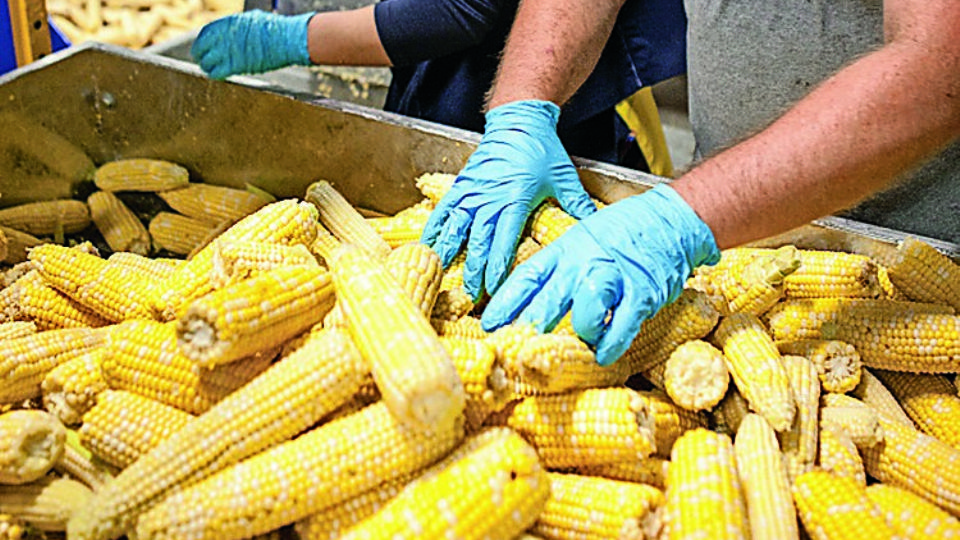 Los alimentos procesados son esenciales en la seguridad alimentaria.