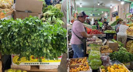 En NL manojo de 5 kilos de cilantro pasa de 110 a 450 pesos; taqueros sufren y deben 'aguantar'