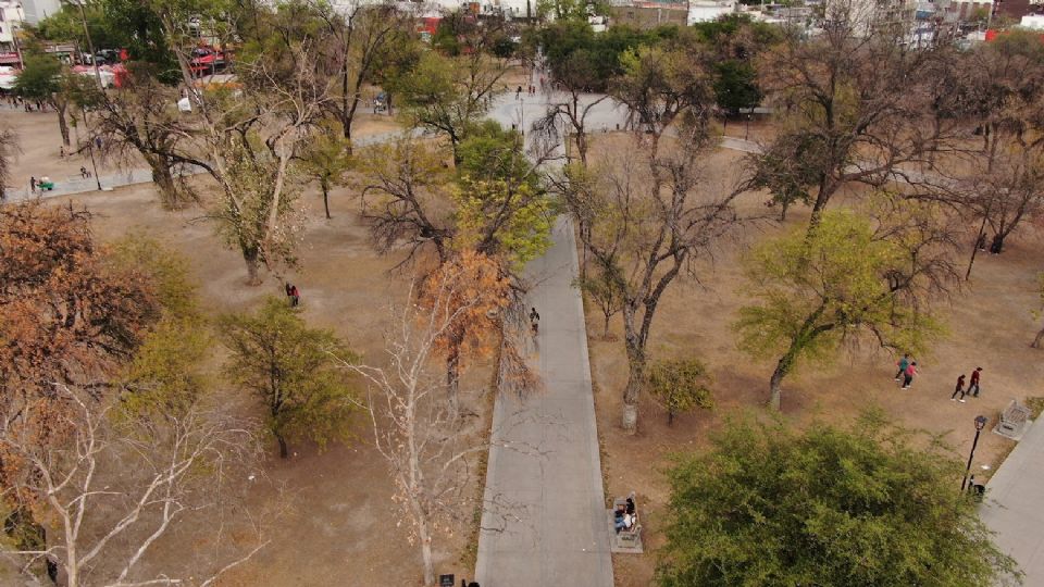 La Alameda padece los efectos de la sequía