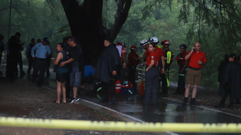 Al lugar llegaron elementos de diversos cuerpos de auxilio.