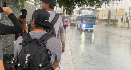 Camiones reanudarán servicio pese a fuertes lluvias en Monterrey