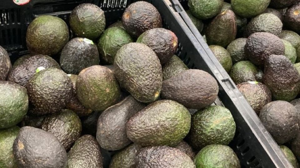 Aguacates resguardados en su caja | X / @ElAgroanalista