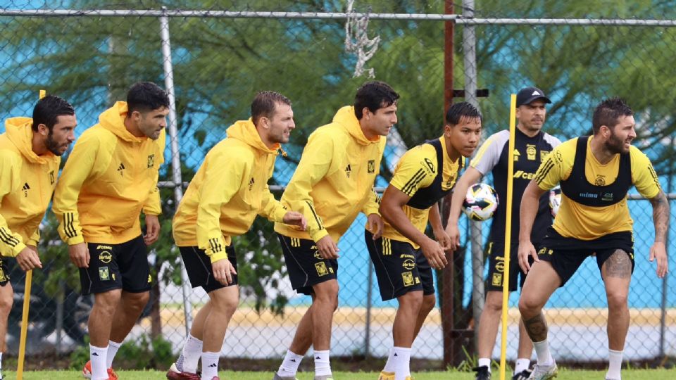 Tras las lluvias causadas por la depresión tropical Alberto, el equipo auriazul retomó este viernes sus entrenamientos en las instalaciones del Polideportivo Tigres