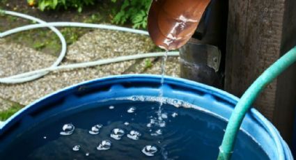 Ya hay agua en NL, ahora piden uso inteligente y ahorro