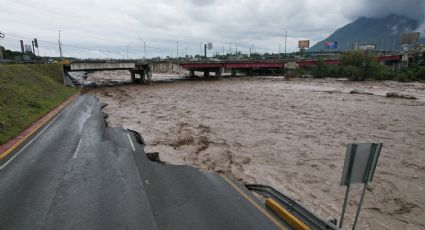 ‘Árboles dañados en incendios hubieran protegido vialidades’: Ambientalista