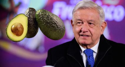 Hoy se normaliza la exportación de aguacate y mango a EU, asegura AMLO 