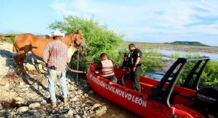 Rescatan a caballos atrapados en Cerro Prieto tras paso de Alberto