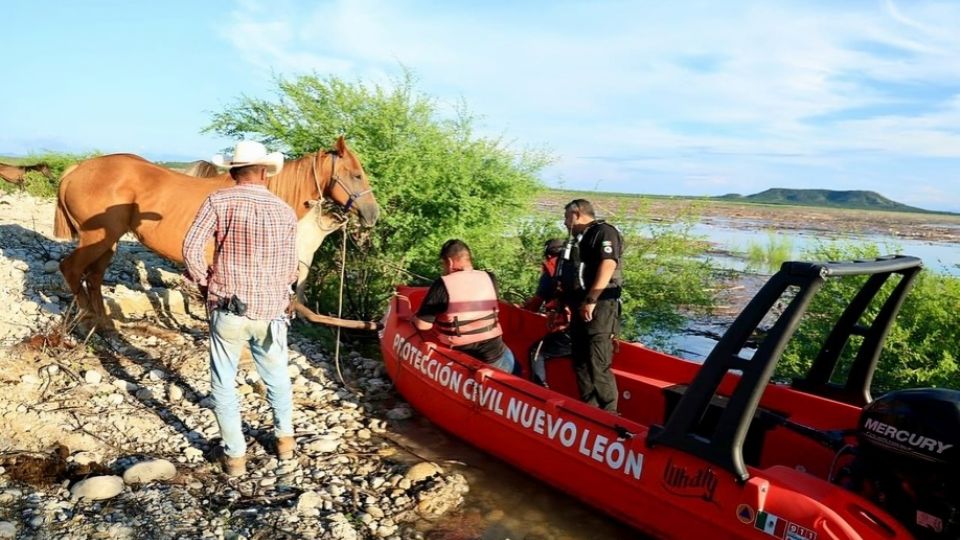 Personal de PC estatal rescatando caballos atrapados en Cerro Prieto