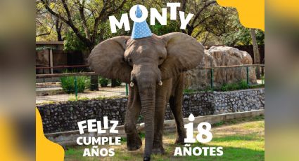 Monty tendrá fiesta por su cumpleaños 18: ¿Cuándo y dónde será su festejo?