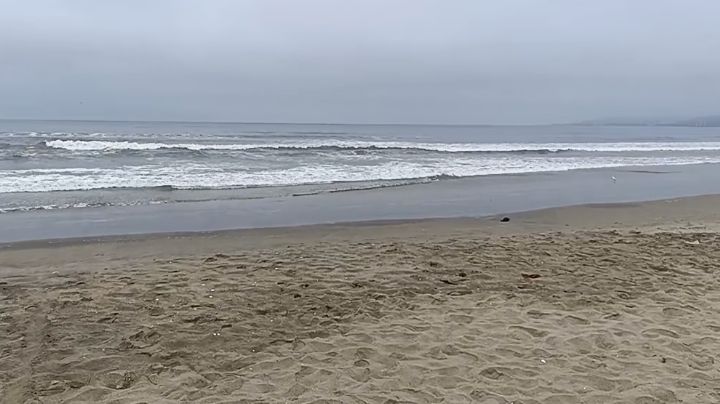 Desaparece adolescente tras ser arrastrado por el mar en Baja California