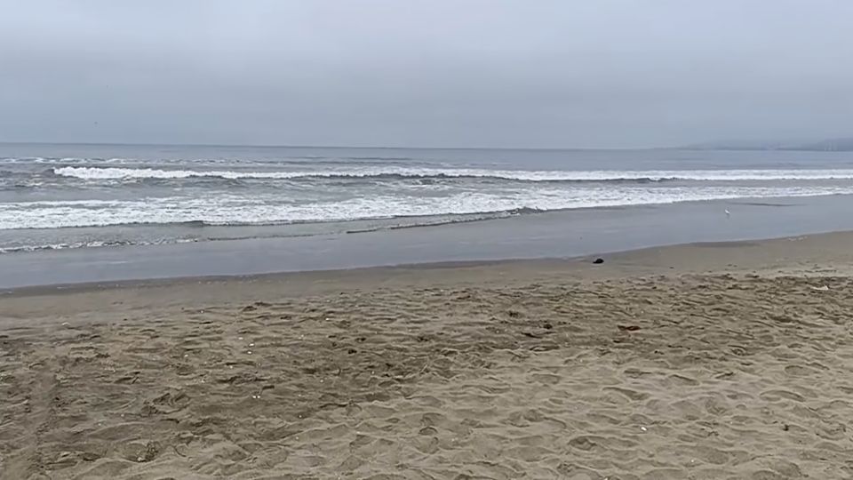 Joven desaparece en el mar mientras pasaba una tarde de diversión con sus amigos en Ensenada