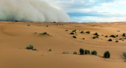 Polvo del Sahara en México: ¿Por qué puede evitar la formación de huracanes?