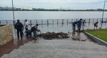 Advierten presencia de cocodrilos en zonas inundadas de Tampico