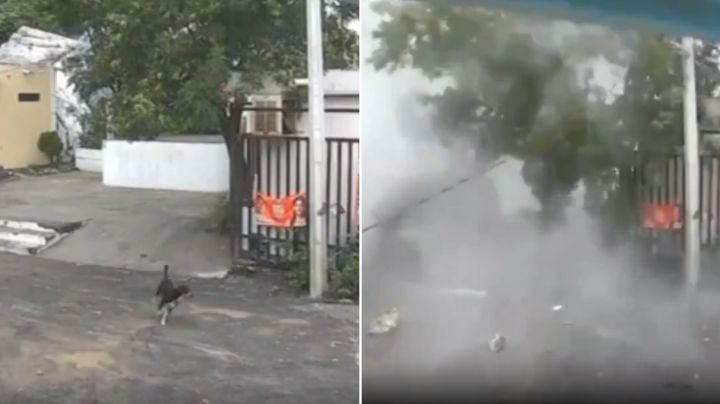 Video: Deslave arrastra rocas del Topo Chico contra casas en Monterrey