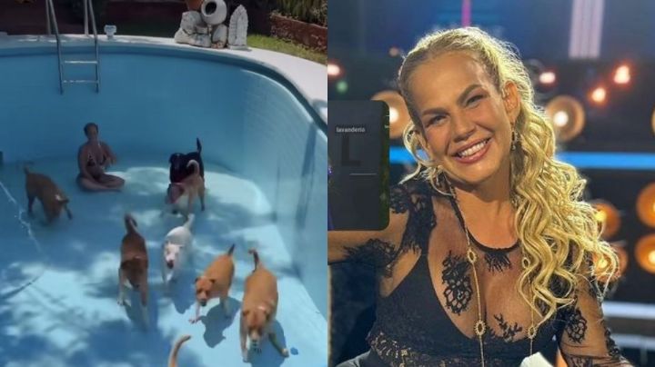 Critican a Niurka por tener un cenote en su casa y la acusan de robar agua