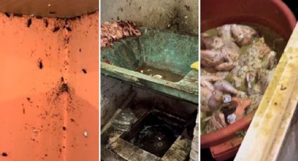 ¡De terror! Clausuran restaurante por suciedad extrema en Bolivia