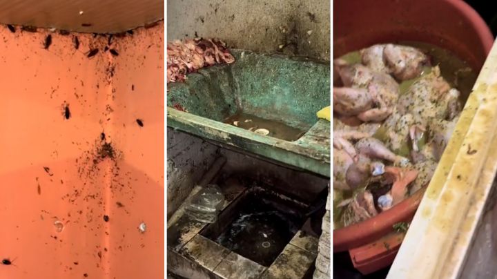 ¡De terror! Clausuran restaurante por suciedad extrema en Bolivia