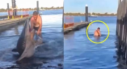 Video: Hombre devuelve al mar a tiburón varado y lo monta en Australia