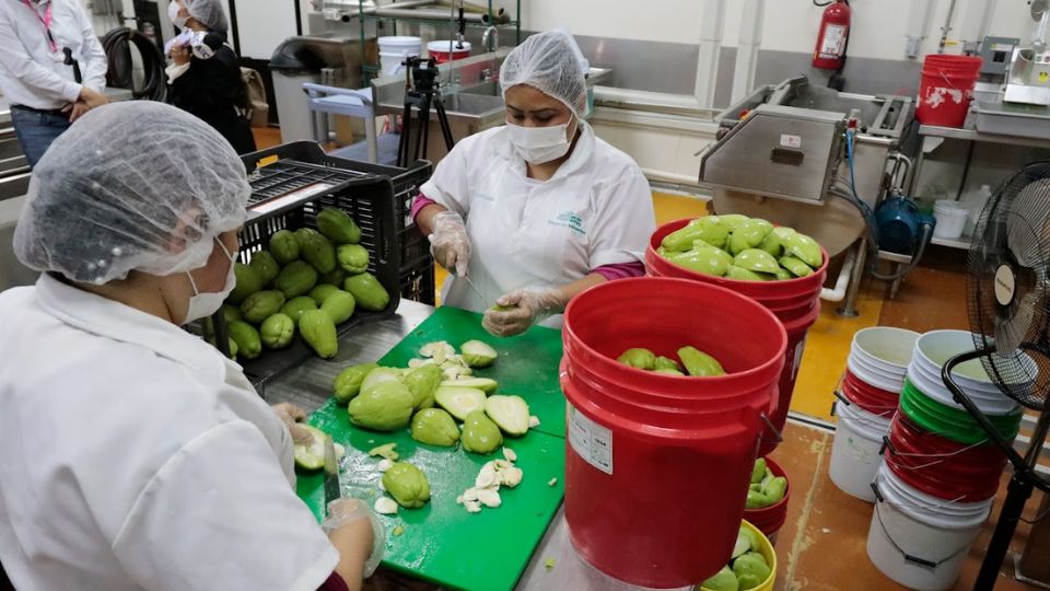 Banco de alimentos en Cáritas de Monterrey