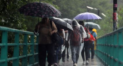 Entra onda tropical número 10 a México, ¿Traerá lluvias para Nuevo León?