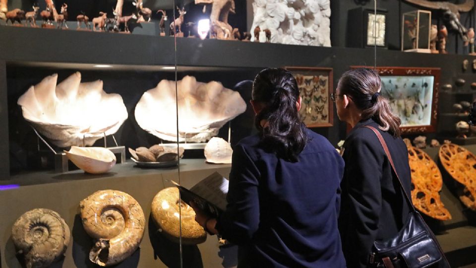 Asistentes en el museo 'La Milarca'.