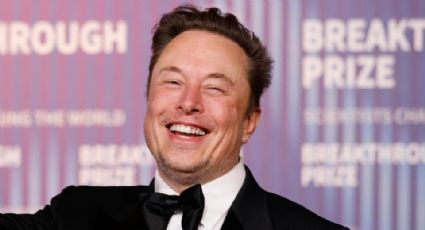 Elon Musk detiene Gigafactory en NL hasta después de elecciones en EU